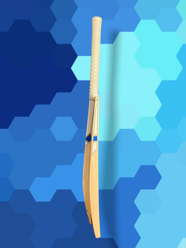 Prophecy Omen Junior Cricket Bat