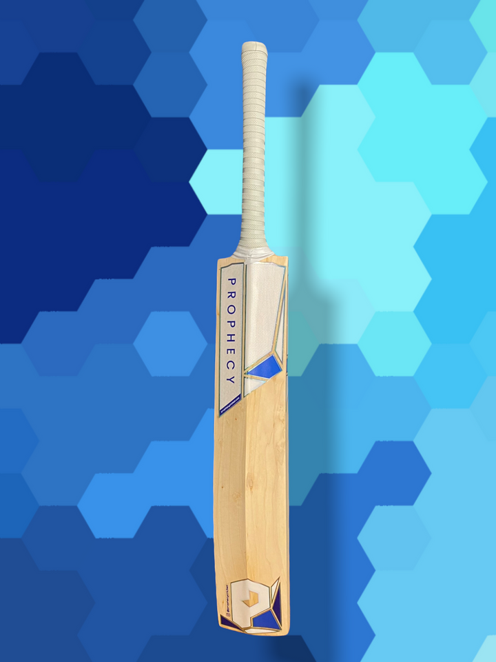 Prophecy Omen Junior Cricket Bat