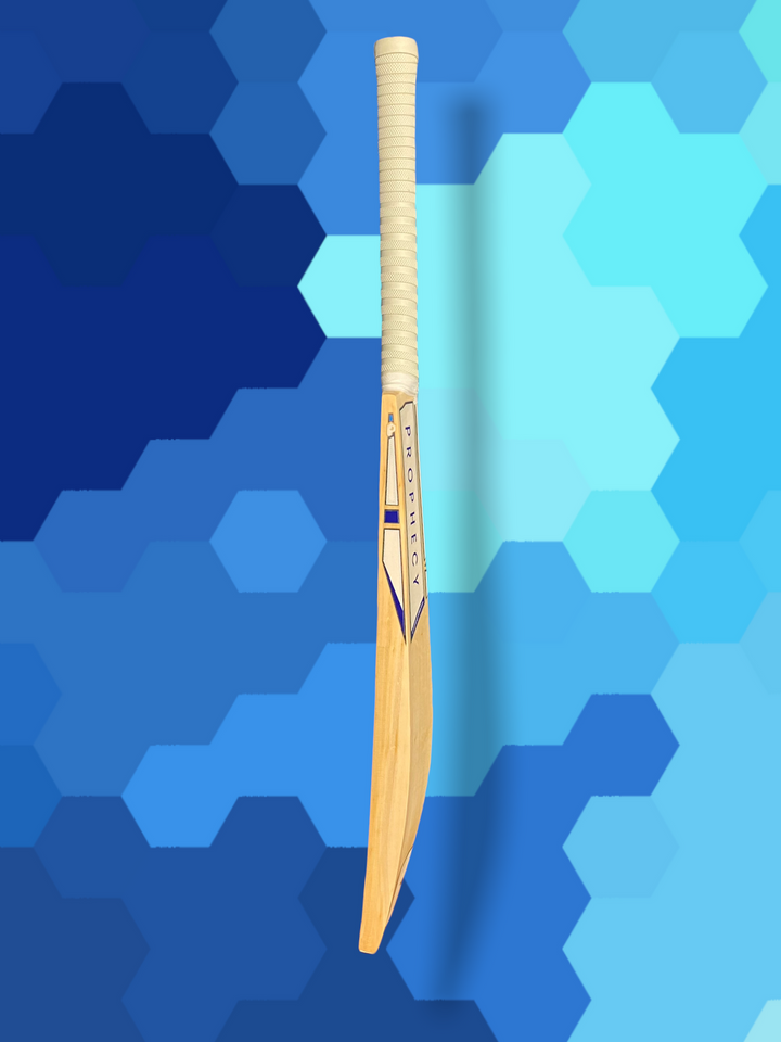 Prophecy Omen Junior Cricket Bat