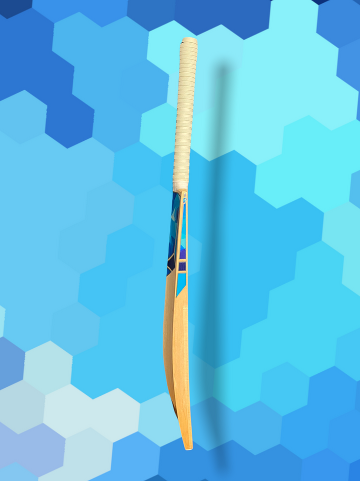Prophecy Vision Junior Cricket Bat