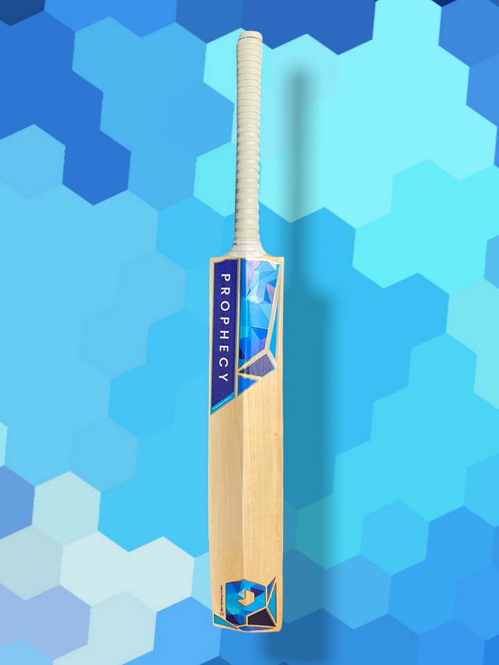 Prophecy Vision Junior Cricket Bat