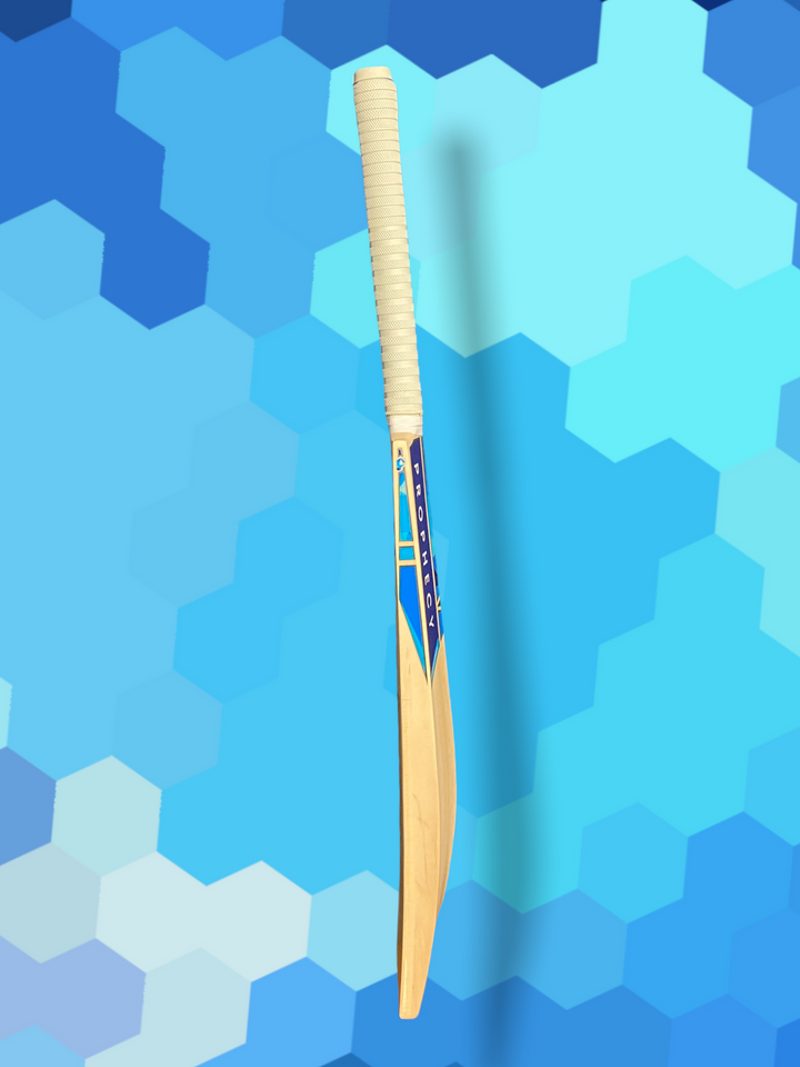 Prophecy Vision Junior Cricket Bat