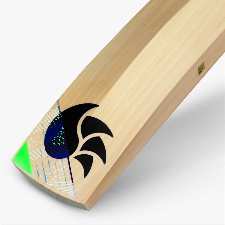 DSC Cricket Bat toe