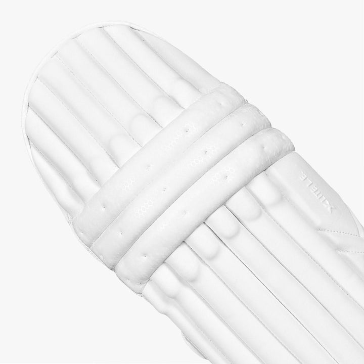 DSC Xlite Limited Edition Batting Pads