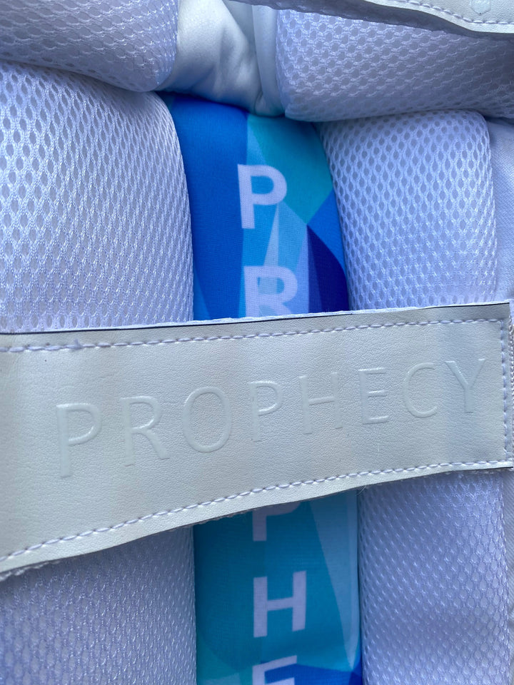 Prophecy Batting Pads