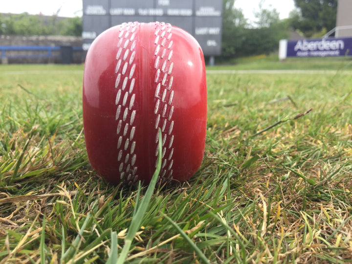 Katchet K-Bowl All-Weather