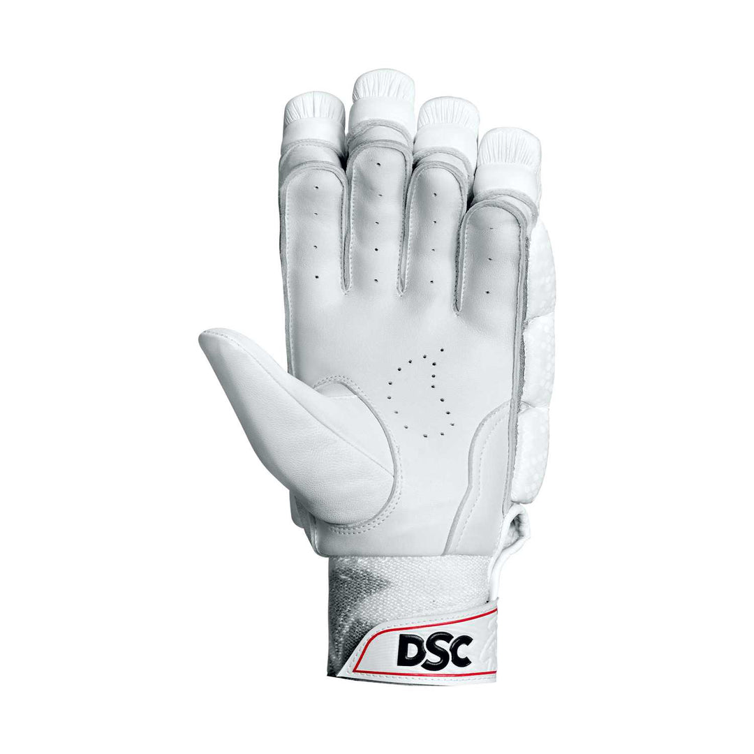 DSC Flip 1.0 Batting Gloves (2023)