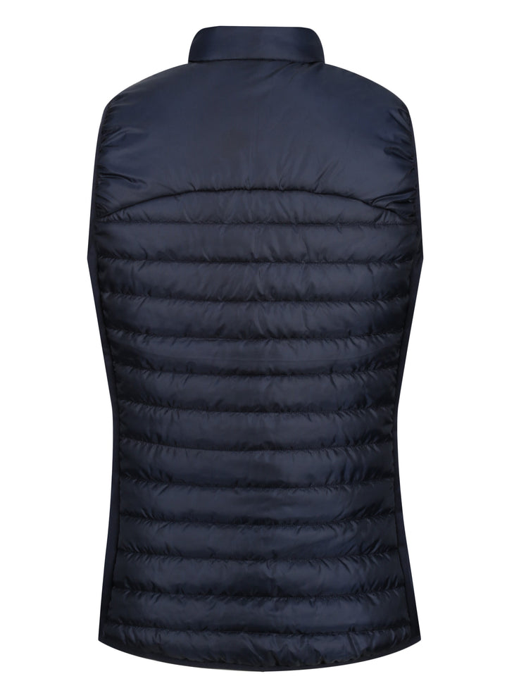 Female Navy Apex Gilet