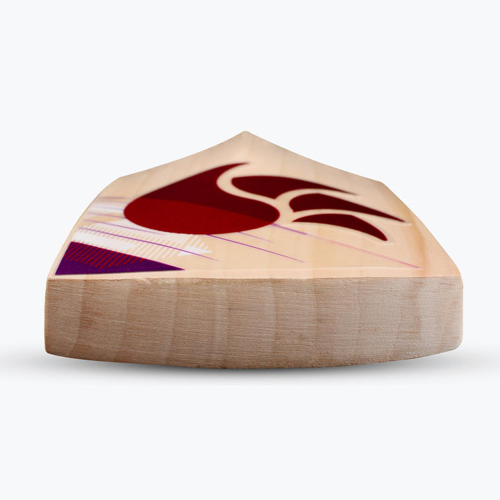 DSC Flip Series 4.0 Cricket Bat (2023)