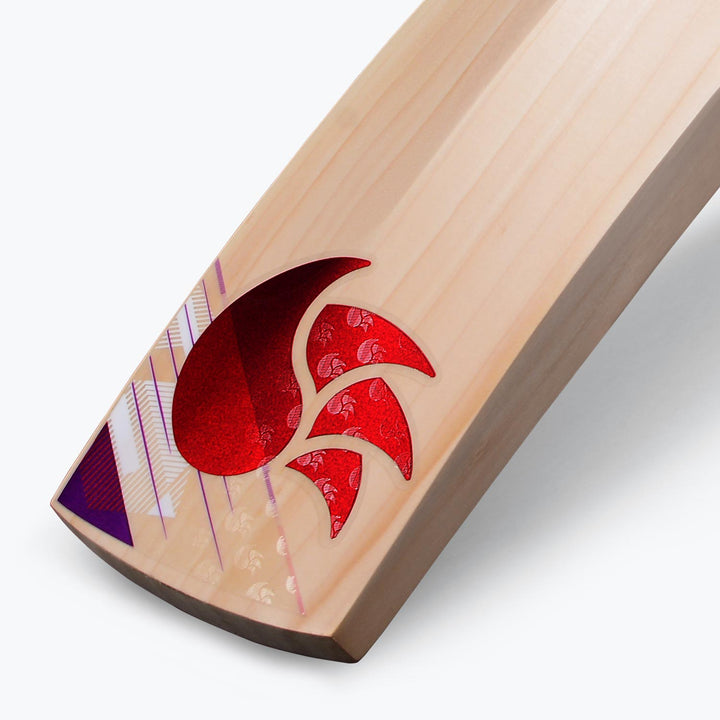 DSC Flip Series 4.0 Cricket Bat (2023)