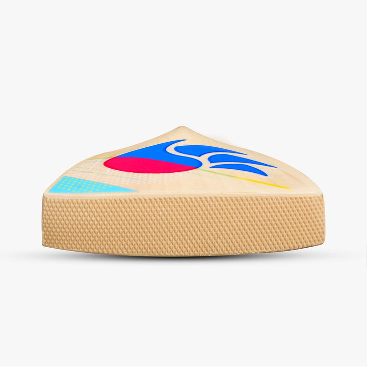 DSC Cricket Bat