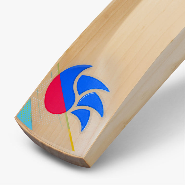 DSC Intense Series 3000 Cricket Bat (2023)