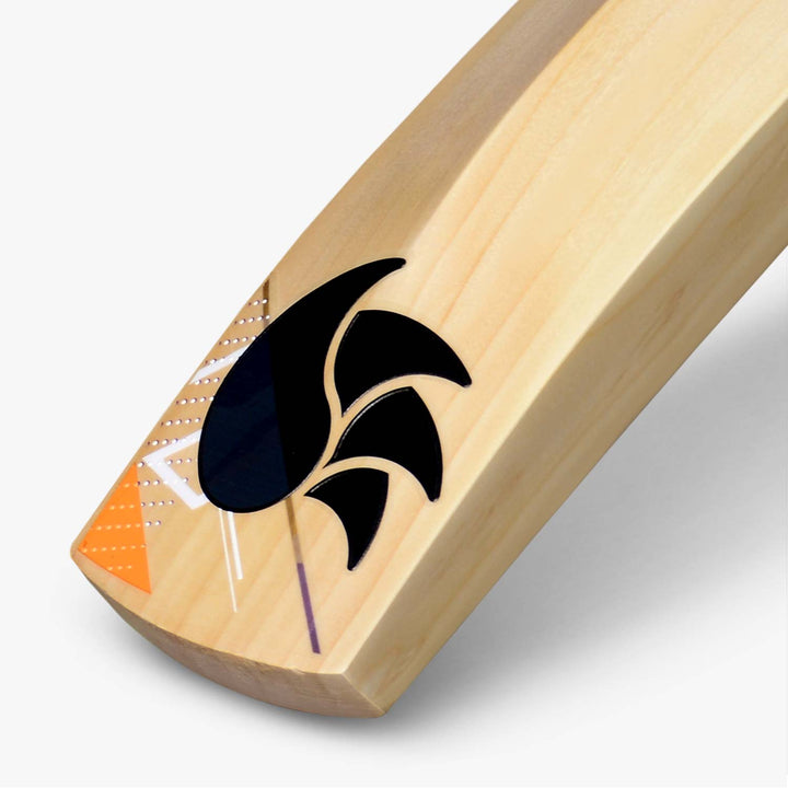 DSC Krunch Series 2000 Cricket Bat (2023)