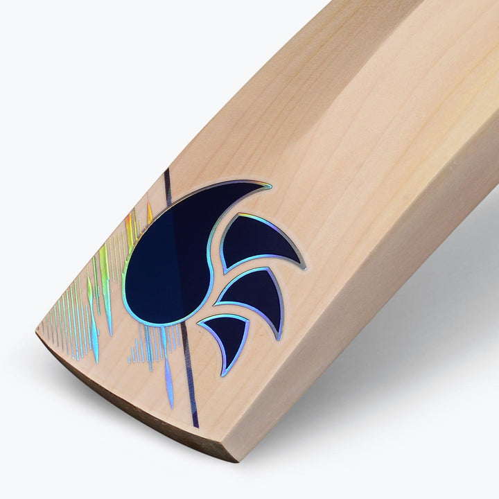 DSC Pearla Series X2 Cricket Bat (2023)
