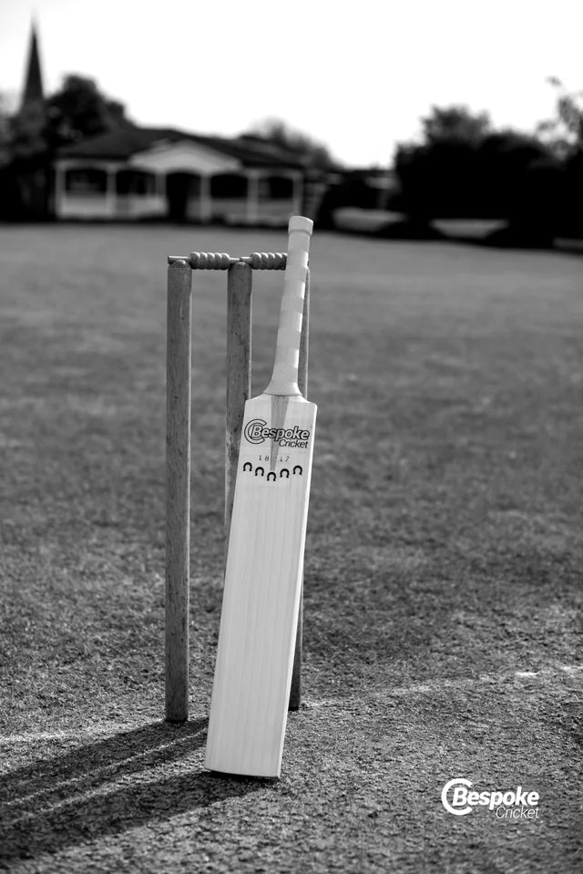 Cricket bat