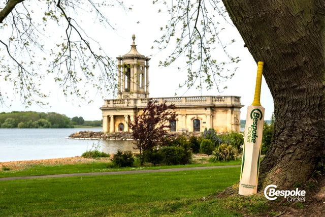 Cricket bat