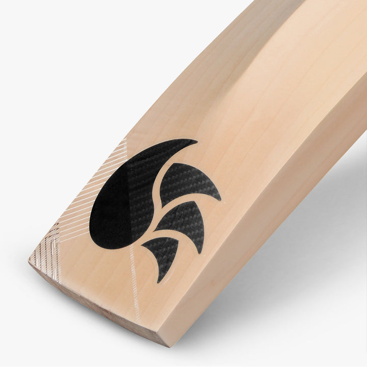 DSC Xlite Series 1.0 Cricket Bat (2023)