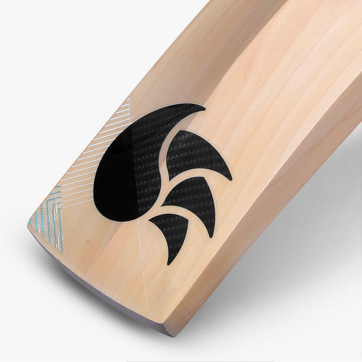 DSC Xlite Series 3.0 Cricket Bat (2023)
