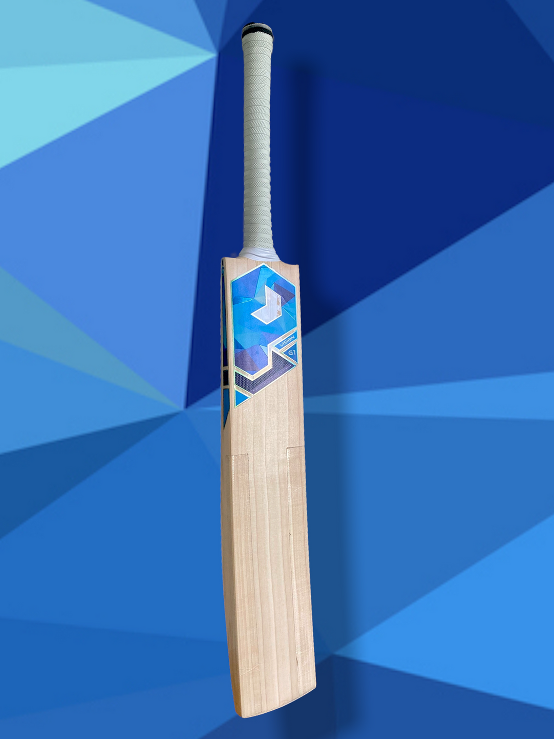 Prophecy Vision Cricket Bat