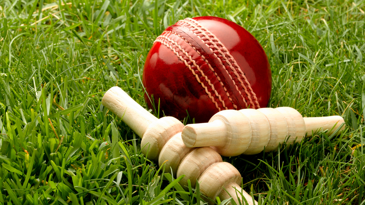 Cricket Pavilion: Premium Cricket Gear, Coaching & Consultancy