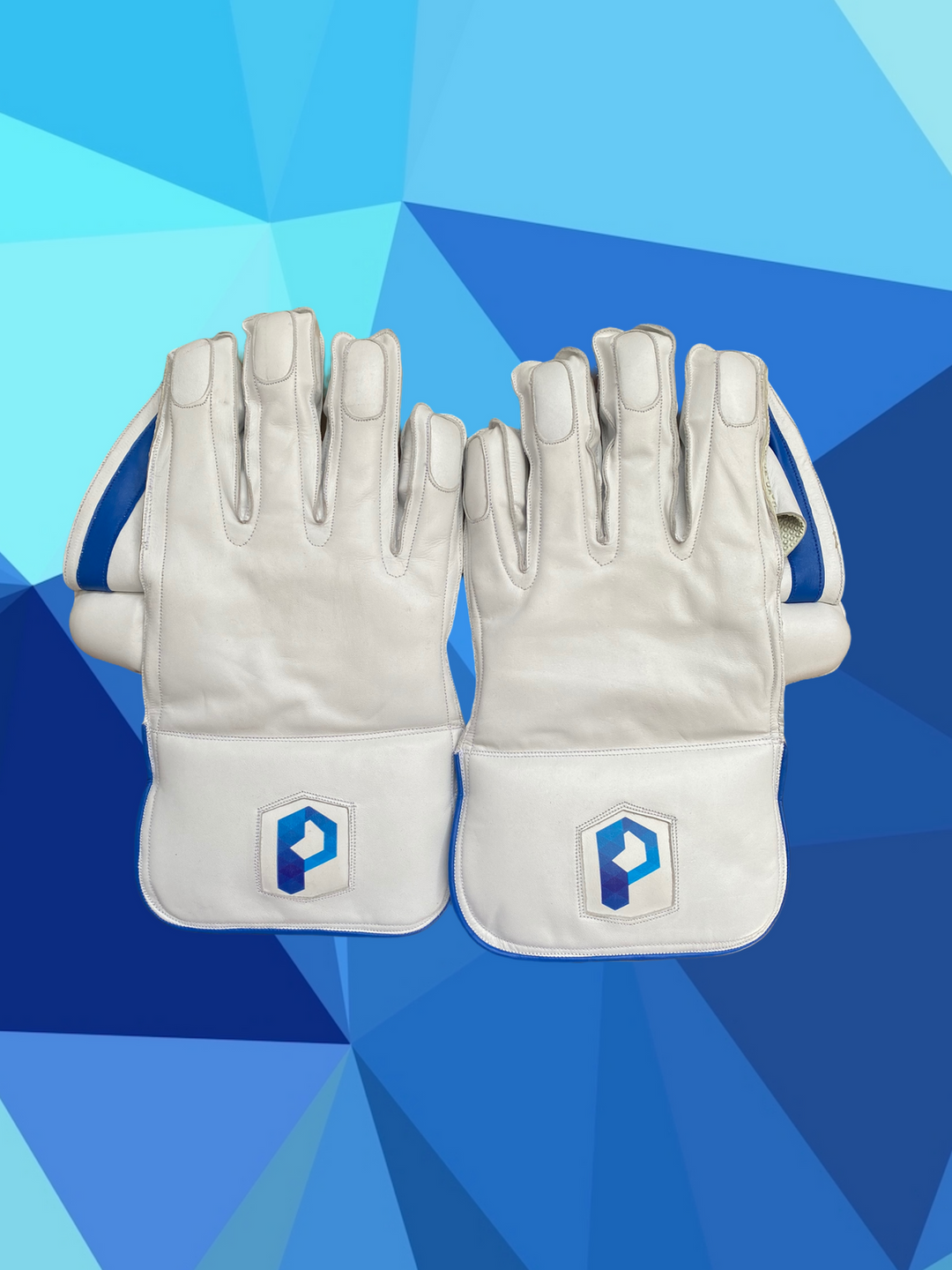 Prophecy Wicket Keeping Gloves