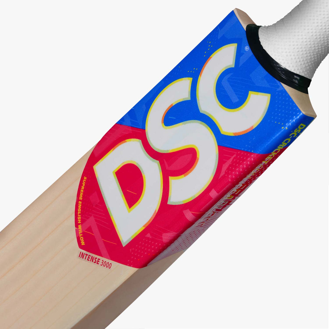 DSC Intense Series 3000 Cricket Bat (2023)