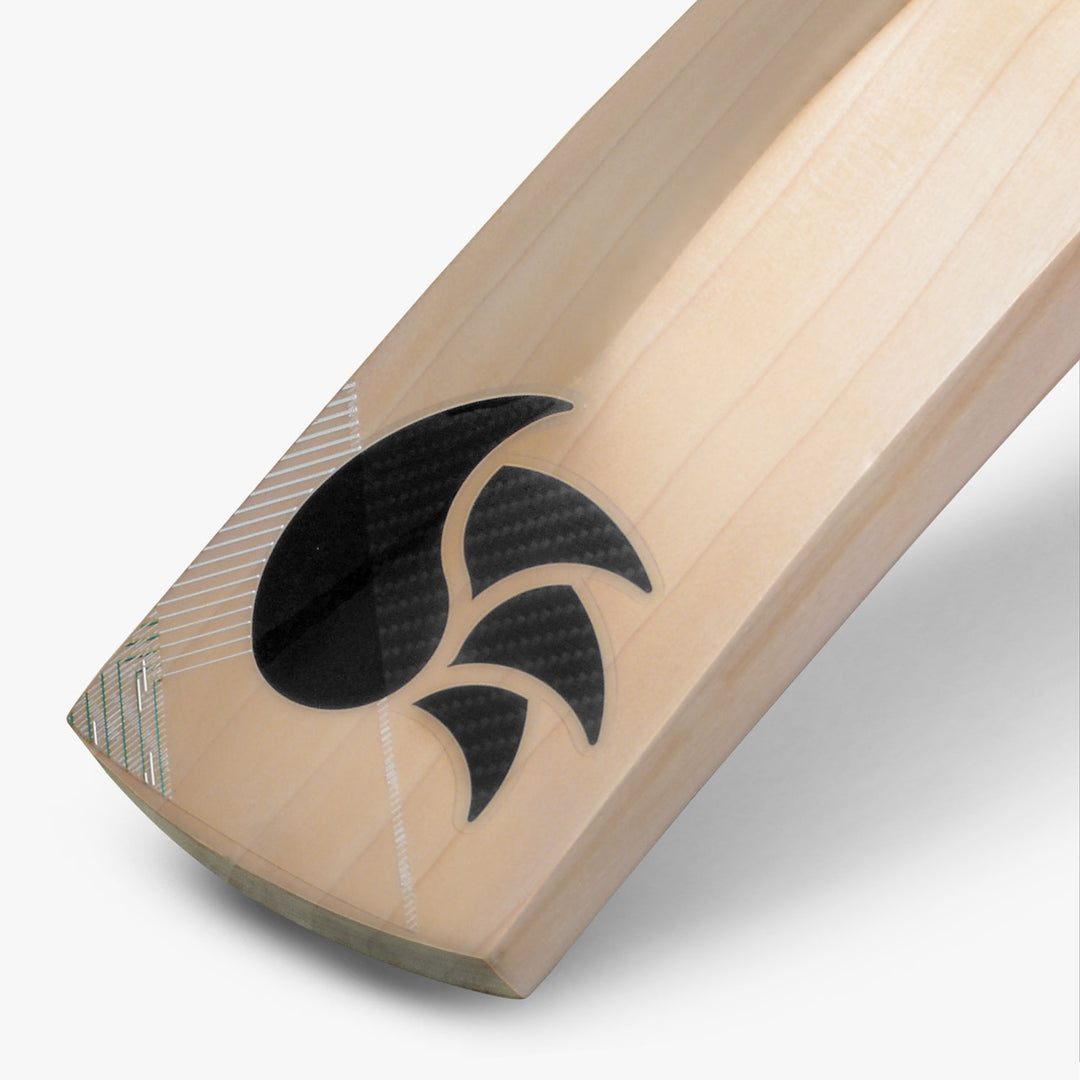 DSC Xlite Series 2.0 Cricket Bat (2023)
